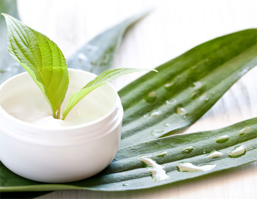 COSMETICA NATURAL