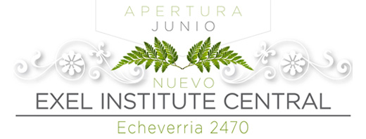 EXEL INSTITUTE