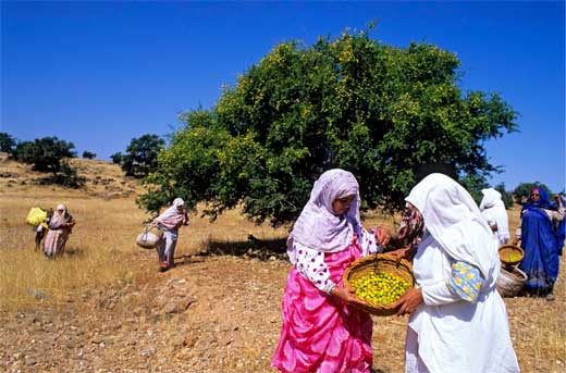 ARGAN